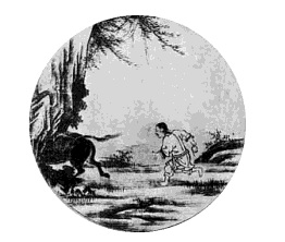In Search of the Missing Ox In Search of the Missing Ox