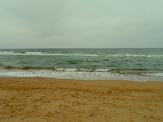 The Beach