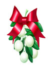 mistletoe