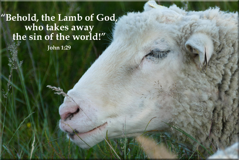 April Devotion - Jesus the Lamb