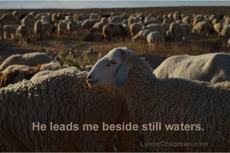 Memory Verse from Psalm Twenty Three